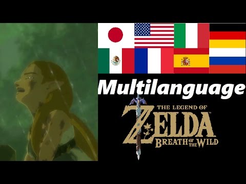 Despair Multilanguage | Memory 16 | Zelda Breath of the Wild