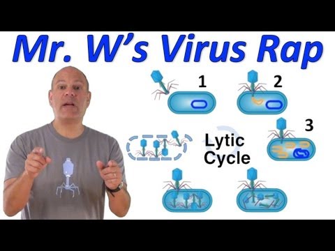 I'm a Virus! (Mr. W's Virus Rap)