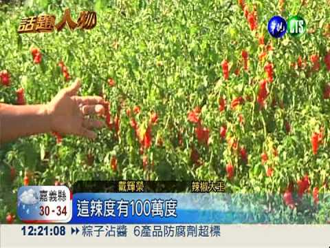 嗜辣如痴! 農場主人變辣椒大王
