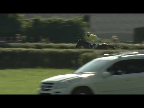 7. dostih - Velká cena Galopp News / Velká cena Netolic - dostihy Netolice 16. 8. 2020