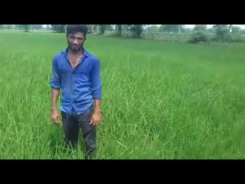 Geepee biofert harikranti BHOOMIDHAN result 8349767704