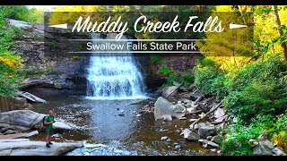 Download lagu Muddy Creek Falls: Maryland's Hidden Gem mp3