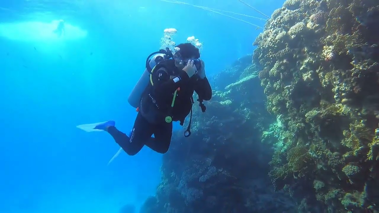 First Dive in Open Water