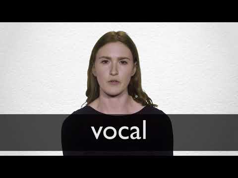 Vocal Definition And Meaning Collins English Dictionary Vocal Definition And Meaning Collins English Dictionary