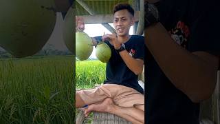 Download lagu coconut cengkir salad 🤤#234 #shorts mp3 Download lagu coconut cengkir salad 🤤#234 #shorts mp3