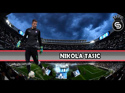 Nikola Tasic Highlights