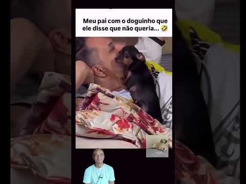 Igual minha mãe 😂🥰 #cachorro #pets @chacaradosfilas6647