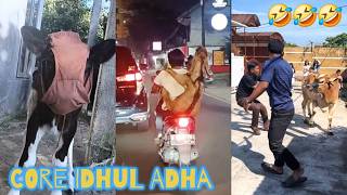Download lagu KELUCUAN IDHUL ADHA #18 🤣 VIDEO LUCU BIKIN NGAKAK SAKIT PERUT 🤣 VIDEO LUCU - LUCU 🔥NGAKAK PARAH mp3