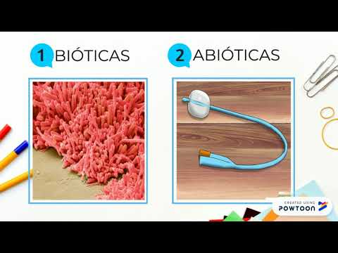 BIOFILME MICROBIOLOGIA SC