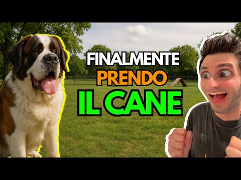 Me at 12 years old trying to convince my mother to get me a dog