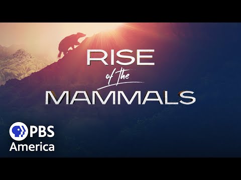 Rise of the Mammals (2019) | Full Documentary | NOVA
