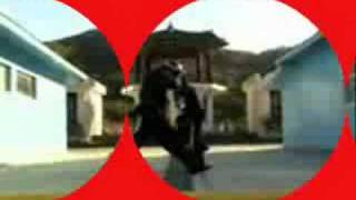 Northern Soul - Dee Dee Sharp - What Kind of Lady - B-Boy