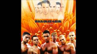 RAMMSTEIN-DER MEISTER