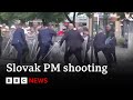 Video shows moment Slovak PM shot multiple times by 71-year-old gunman | BBC News