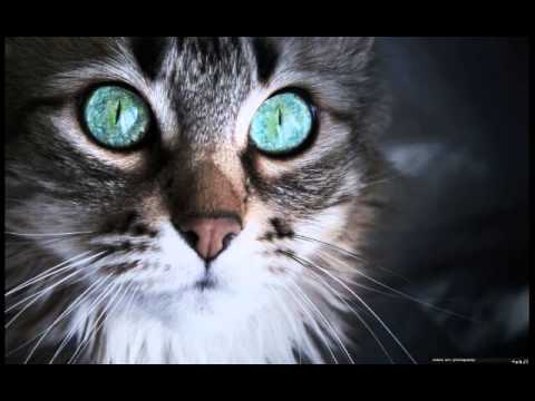 Kenza Farah et Lucenzo - Obsesion