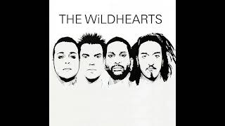 The Wildhearts - She's All That (Demo)