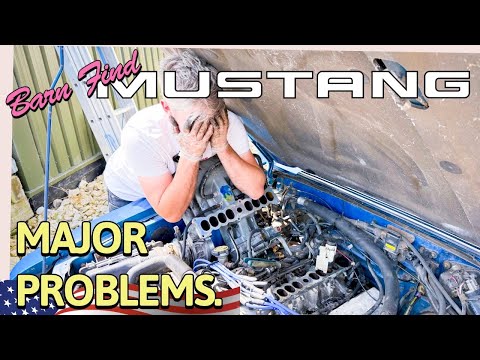Our Barn Find 80s V8 MUSCLE CAR has a MAJOR PROBLEM - Can we save our Fox Body Mustang?!