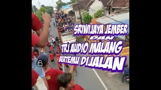 Download lagu Sriwijaya jember dan TRJ AUDIO malang mp3