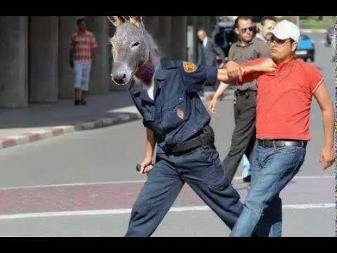 لهدا السبب دخل معاد الحاقد السجن .... سب و شتم للشرطة و انتهاك الحاقد لكل القوانين المغربية (18-)