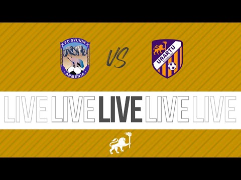 AFL, Matchday 12. Urartu-2 - FC Syunik. LIVE