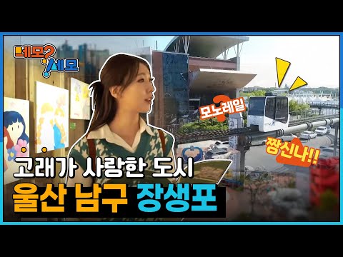 [네모세모] 울산 고래관광