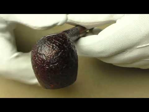 Dunhill Cumberland 4201 - pipe F350