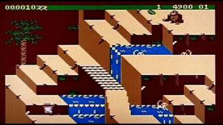 Congo Bongo on the Atari 400/800 XL/XE. Gameplay & Commentary