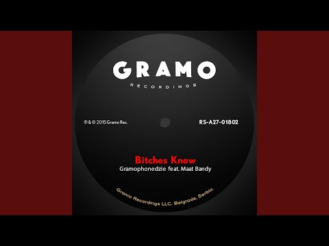 Bitches Know (feat. Maat Bandy) (Radio Edit)