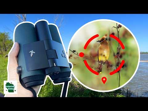 Wir haben das futuristische Fernglas getestet, das Vögel für Sie identifiziert! (Swarovski AX Vis...