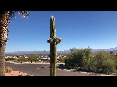 Beautiful 3 bedroom condo for lease in Fountain Hills, Arizona 02.06.22