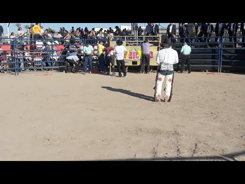 Sangre Revolucionaria Vs Necio De Cuautla