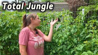 My Garden Turned Into a Jungle in 3 Weeks… (Garden Tour)