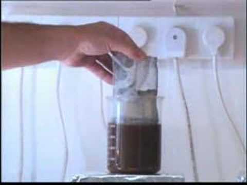 The Mystery Of Tekhelet - Part II of III