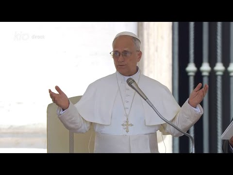 Audience générale du 25 juin 2025