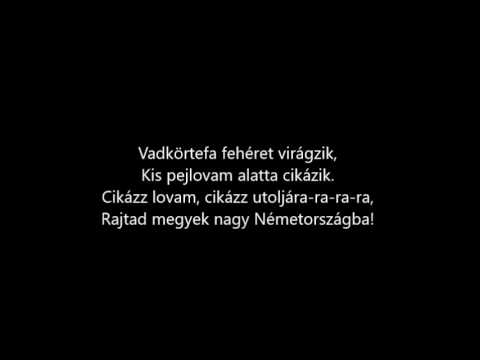 erekció férfiak gyorsan bőr a hím péniszével