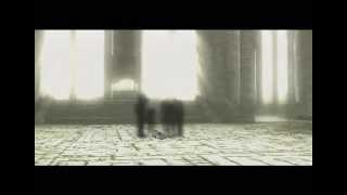 Vidéo Shadow of the Colossus