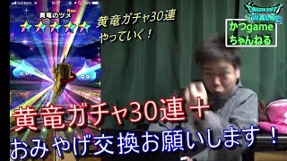 DQW【黄竜ガチャ30連】と【おみやげ交換】やっていく！