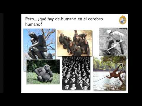 I CONGRESO ESCUELA+ | Exposición Diego Cosmelli y Tomás Ossandón