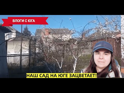 ????НАШ САД НА ЮГЕ ЗАЦВЕТАЕТ!☀️Переезд на юг в Краснодарский край