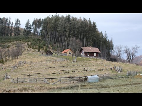 Măgureni, satul de pe muntele sfânt al dacilor
