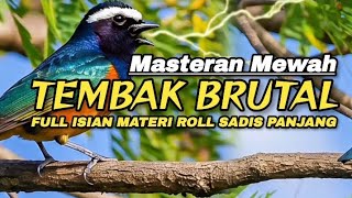 Download lagu TEMBAKAN BRUTAL‼️Full isian Mewah Roll Sadis Panjang#masteranburung mp3 Download lagu TEMBAKAN BRUTAL‼️Full isian Mewah Roll Sadis Panjang#masteranburung mp3