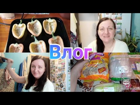 Вареники с сюрпризами / Новый канал / Фаршированные перцы в духовке / Покупки в Ашане / Anika Z влог