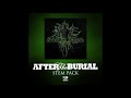 After the Burial - Aspiration (Instrumental)