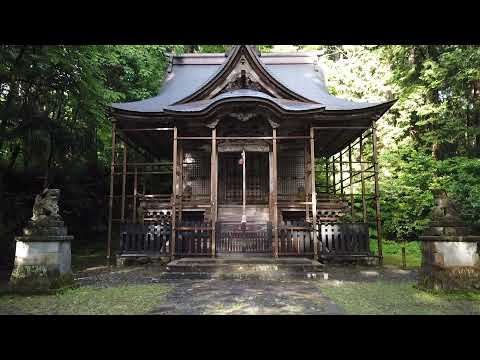 平泉寺白山神社〜一面の苔が美しい、1300年の歴史ある宗教都市〜