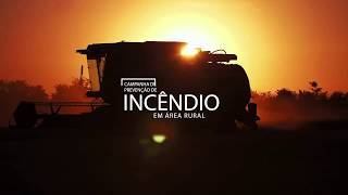 Miniatura do vídeo