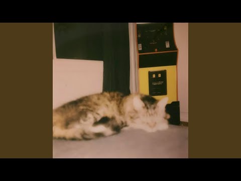 Goodnight Sleepy Cat - wet sock society