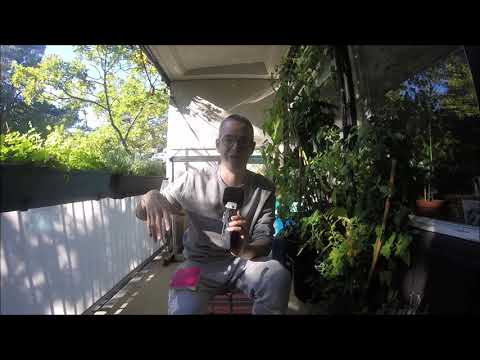 Planka.Nu sobre o lançamento do livro "A estrutura de poder do trânsito"