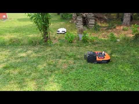 Luba 5000 vs Landroid L randomly coinciding in adjoining areas 😁