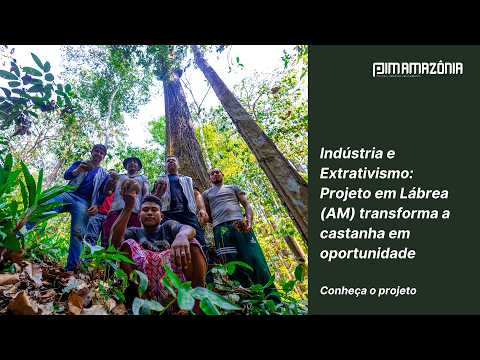 Indústria e Extrativismo: Projeto em Lábrea (AM) transforma a castanha em oportunidade