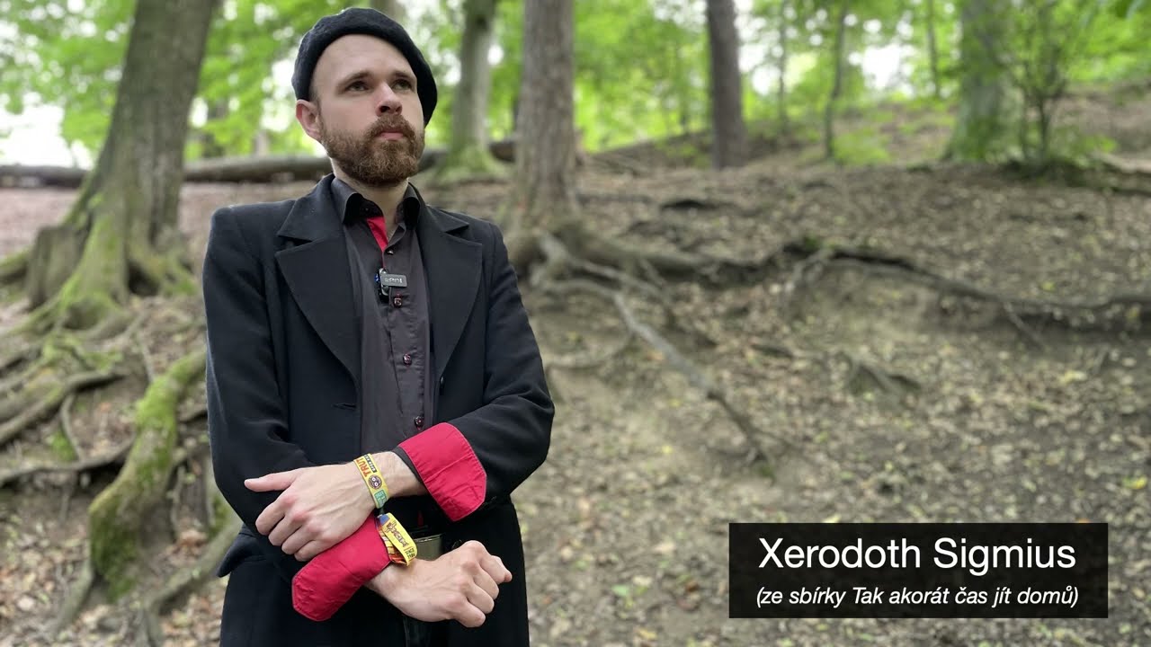Xerodoth Sigmius - Musíme mlčet o tom, co jsme udělali malým baletkám
